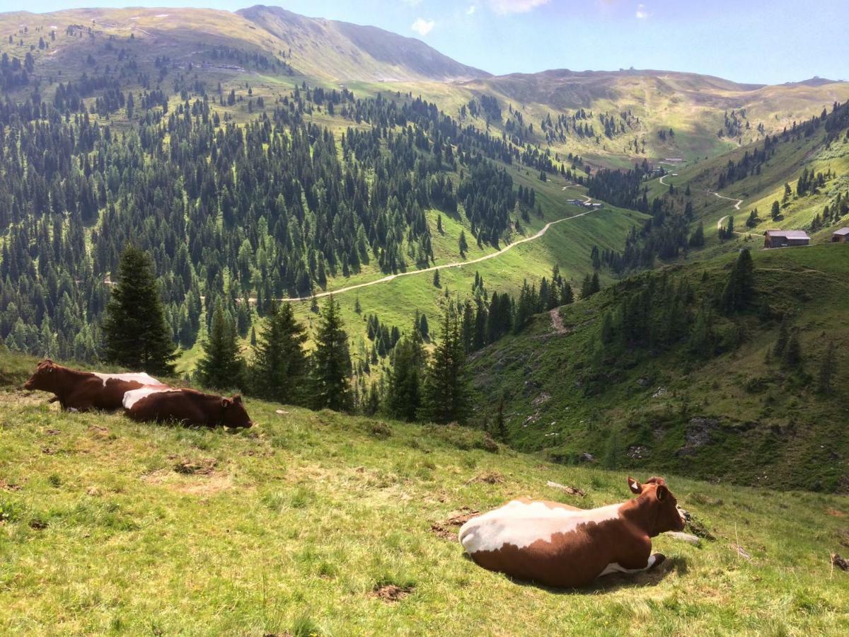 Wagnerhaeusl Daire Bramberg am Wildkogel Dış mekan fotoğraf